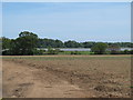 TM2845 : Looking towards the Deben over arable land, Waldringfield by Roger Jones