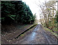 SO0103 : Platform at the site of Abernant railway station, Aberdare by Jaggery