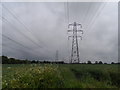  : Line of pylons by Bikeboy