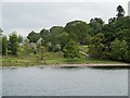 NY3700 : Windermere Shore, High Wray Bay by David Dixon