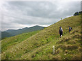 NY4103 : Newly planted trees above Limefitt Park by Karl and Ali