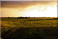 SJ6446 : Sunset from Coole Lane Bridge, Coole Pilate, Cheshire Plain by Christopher Hilton