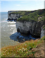 TA2472 : East Scar View, Flamborough by Scott Robinson