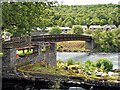 SD3585 : Footbridge over River Leven at Backbarrow by David Dixon