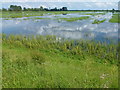 TL4583 : Summertime flooding - The Ouse Washes by Richard Humphrey