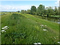 TL4584 : Between Welches Dam and Mepal - The Ouse Washes by Richard Humphrey