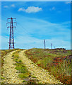 NZ8603 : Pylon Line, Parsley Beck Rigg by Scott Robinson