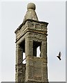 NJ6664 : The bellcote at St Brandans Church, Inverboyndie by Walter Baxter