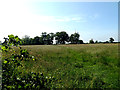 TM3881 : Footpath to Hall Lane by Geographer