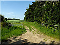 TM3779 : Field entrance off Wash Lane by Geographer