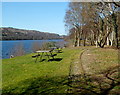 SH5761 : Lakeside picnic benches near Cei Llydan railway station by Jaggery