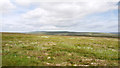 SD7781 : Grassy moorland on Blea Moor by Trevor Littlewood