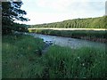 NY1231 : River Derwent Cockermouth by Steve  Fareham