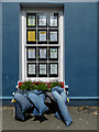 SN7634 : Unusual Flower Bed, Market Square, Llandovery by Christine Matthews