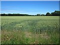 NU0241 : Arable field west of Lowick Mill by Graham Robson