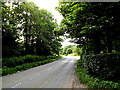 TM3377 : B1123 Halesworth Road, Linstead Parva by Geographer