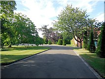 TQ4312 : Topiary at Ringmer Park by Paul Gillett