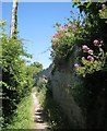 SX9272 : Footpath no.1, to Coombe Lane from Bishopsteignton Road, Teignmouth by Robin Stott