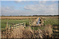 TL2285 : Great Fen Project by Hugh Venables