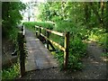 SU6423 : Footbridge over the River Meon by Christine Johnstone