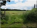 NU0522 : Gateway into an arable field west of Bewick Bridge by Graham Robson