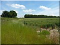 SU6231 : Farmland east of Manor House Farm by Christine Johnstone