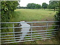 TL2570 : Paddock gate near Godmanchester by Richard Humphrey