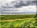 SJ4182 : River Mersey Estuary below Speke Hall by David Dixon