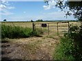 ST4232 : Field gate, King's Sedge Moor by Christine Johnstone