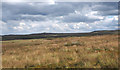 NY9408 : Moorland east of Sleightholme Moor Road by Trevor Littlewood