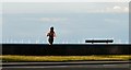 SH7982 : Jogger, bench and wind farm by Gerald England