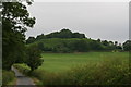 SE4786 : Knowle Hill from Knowle Lane by Chris