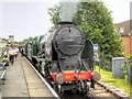 SU7239 : Mid-Hants Railway, "Lord Nelson" at Alton Station by David Dixon