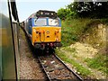 SU6332 : Mid-Hants Railway Sidings at Ropley by David Dixon