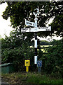 TM2997 : Roadsign on Kirstead Green by Geographer