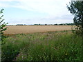 TL2667 : Looking towards Depden Farm by Marathon