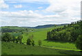 SO3566 : Looking back at Birchen - Lingen, Herefordshire by Martin Richard Phelan