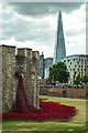 TQ3380 : Tower poppies by Ian Capper