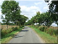 TM3779 : Tree Lined Road by Keith Evans