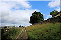 SE0387 : Ancient Track below Morpeth Scar by Chris Heaton