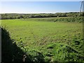 SX3472 : Farmland near Downend by Derek Harper