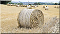 J3267 : Bales near the Giant's Ring, Belfast - August 2014(1) by Albert Bridge