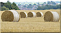 J3267 : Bales near the Giant's Ring, Belfast - August 2014(4) by Albert Bridge