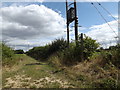 TM0835 : Footpath off Putticks Lane by Geographer