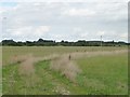 SP2205 : Track bending across a field, north of Filkins Farm by Christine Johnstone