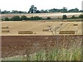 SP2009 : Harvest-time near Downs Farm by Christine Johnstone