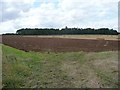 SP2009 : Nameless plantation, west of Downs Farm by Christine Johnstone