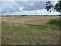 SP2011 : Harvested wheatfield, north-east of Leyes Farm by Christine Johnstone