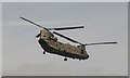 SX8851 : Chinook, Dartmouth Regatta by Derek Harper