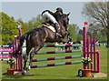 SP8690 : Rockingham Castle Horse Trials: showjumping by Jonathan Hutchins